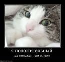 Даниїл Сівак фотография #38 (источник - https://vk.com/id112114676)