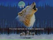 Фотография Ракколайнена Владимира