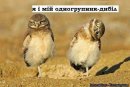 Ваня Міщук фотография #36 (источник - https://vk.com/id38228584)