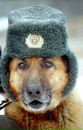 Фотография Калюха Даниила