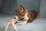 Дмитрий Шингарев фотография #18 (источник - https://vk.com/id770622)