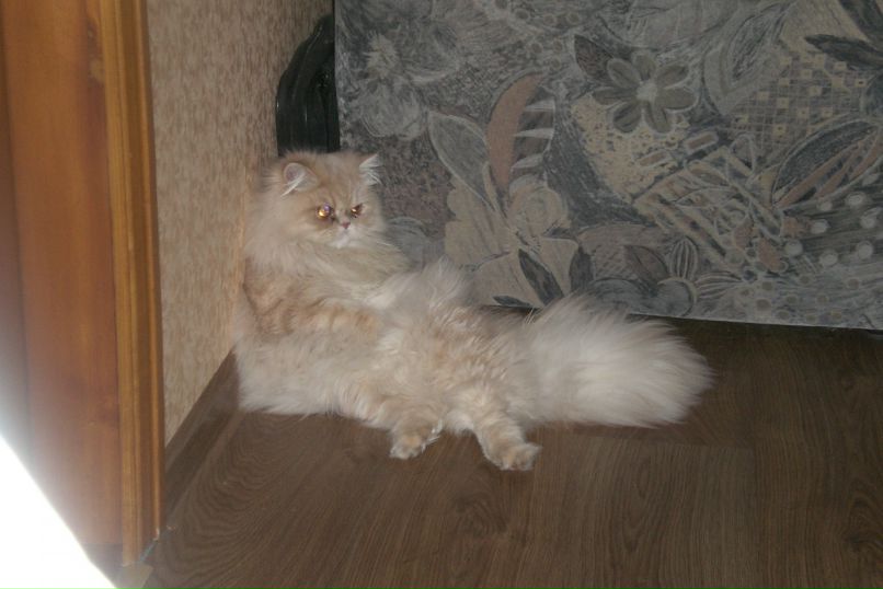 Иван Фурсов фотография #50