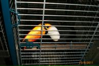 Разбитое Сердце фотография #17 (источник - https://vk.com/id611602)