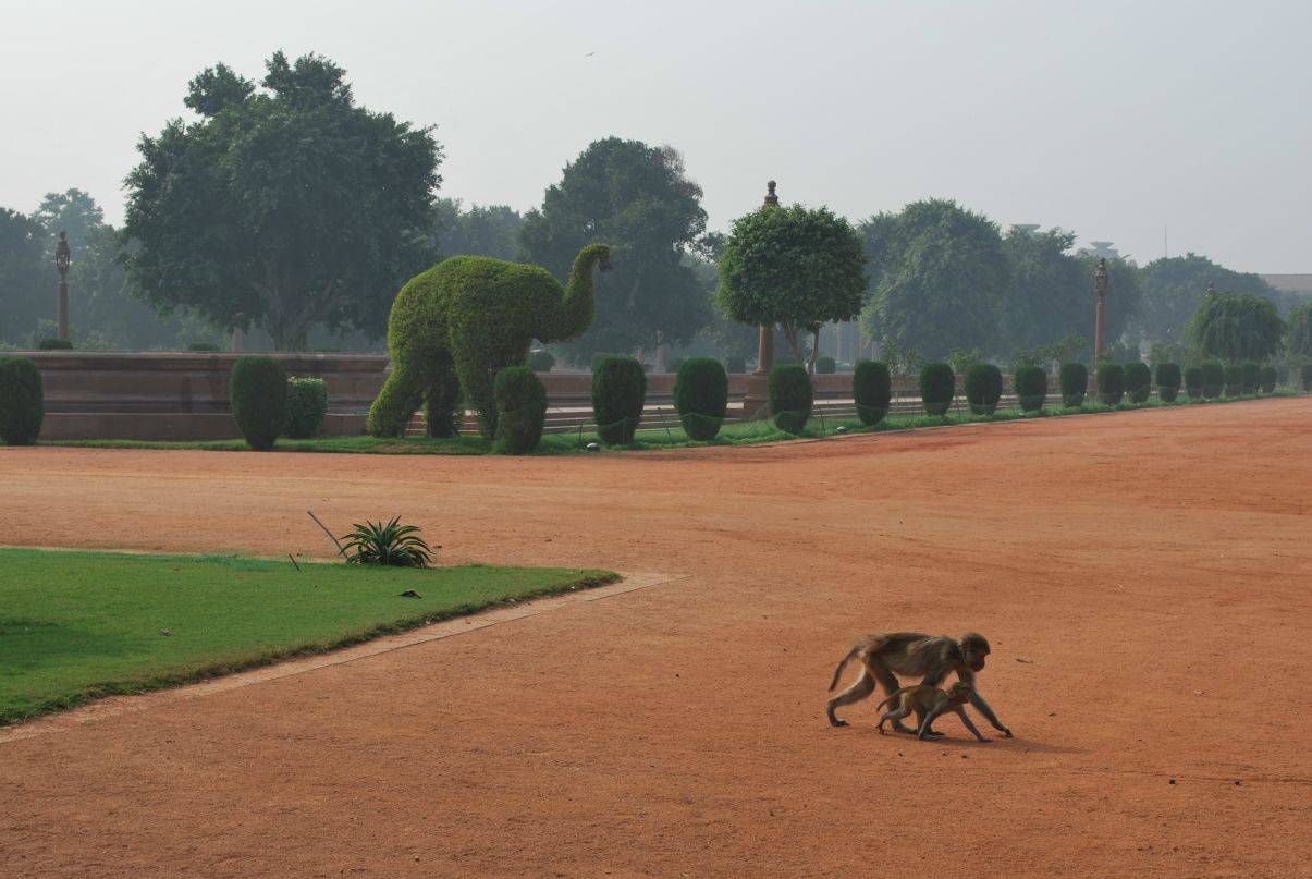 Антон Изосимов фотография #16