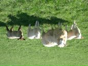 Орест Михаськів фотография #34 (источник - https://vk.com/id14845285)