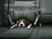 Иришка Венцова фотография #4 (источник - https://vk.com/id4664078)