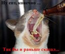 Наталія Тимошенко фотография #31 (источник - https://vk.com/id37535603)