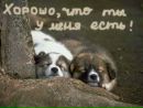 Вікуся Фуштей фотография #17 (источник - https://vk.com/id29329765)