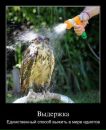 Фотография Хисматулиной Марии
