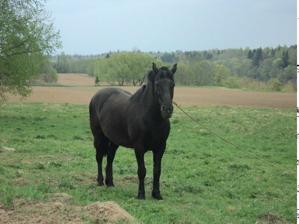 Ло Киф фото №21