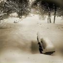 Юрій Ковальський фотография #9 (источник - https://vk.com/id132603403)