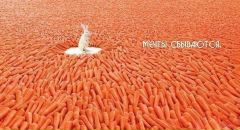 Фотография Никоновой Елены