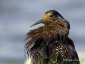 Фотография Бадмаевой Евгении