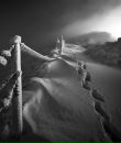 Фотография Евстигнеевой Ольги