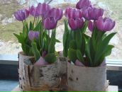 Міша Копча фотография #42 (источник - https://vk.com/id80909677)