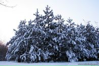 Олег Скуйбіда фотография #44 (источник - https://vk.com/id41536667)