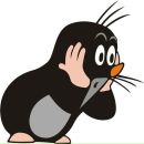 Фотография Ярцева Евгения