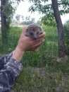 Сергій Коляда фотография #10 (источник - https://vk.com/id148983762)