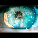 Andrew Philippov фотография #17 (источник - https://vk.com/id4058011)