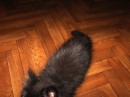 Mi Lost фотография #13 (источник - https://vk.com/id2109388)