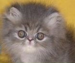 Фотография Шерстнева Владимира