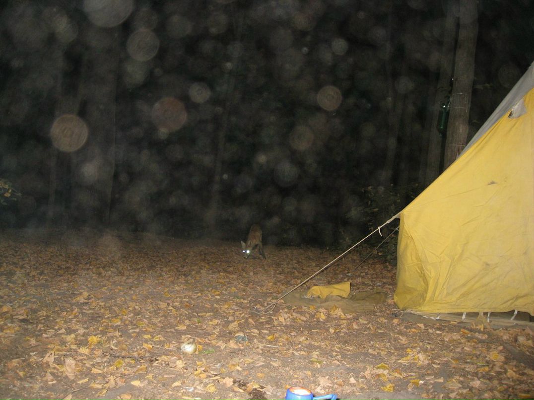 Rope Jumping фотография #20