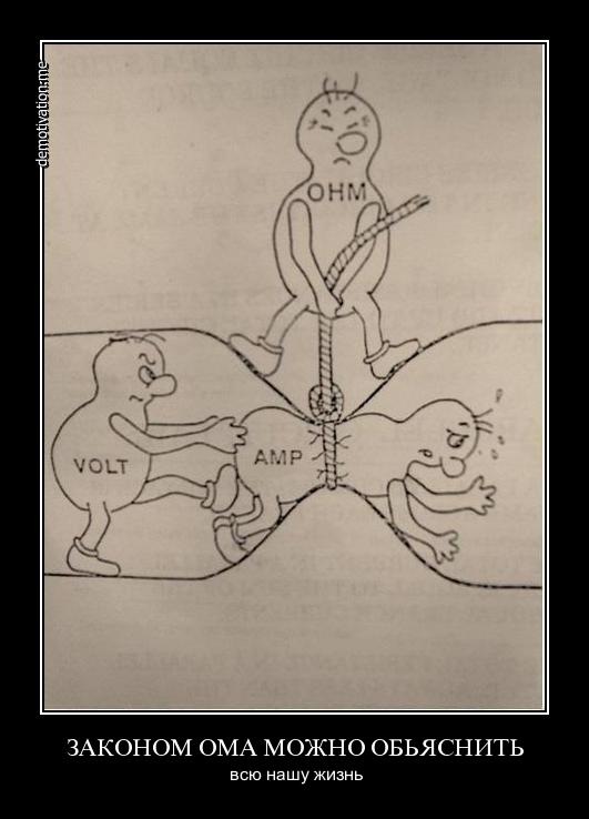 Дмитрий Кашкаров фотография #47