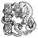 Фотография Трушина Владимира