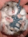 Олег Піган фотография #36 (источник - https://vk.com/id77986653)