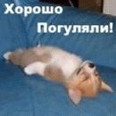 Олександр Маковійчук фотография #8 (источник - https://vk.com/id34389108)