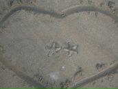 Фотография Полетаевой Яны