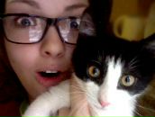 Фотография Пчёлы Иры