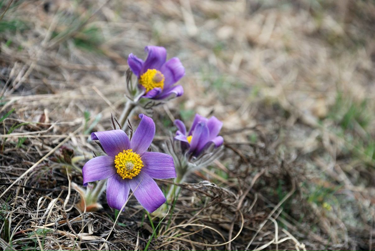 Игорь Дуденко фотография #31