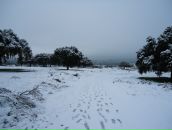 Oleksandra Bychkovska фотография #40 (источник - https://vk.com/id79014105)