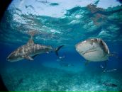 Андрій Кустов фотография #6 (источник - https://vk.com/id41393373)