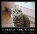 Аліна Бумажка фотография #3 (источник - https://vk.com/id40640378)
