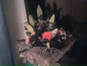 Фотография Сороковской Олеси