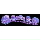 Фотография Фроловой-Торталетки Ольги