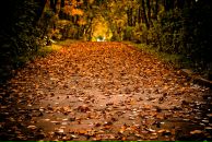 Фотография Кудряшова Ивана