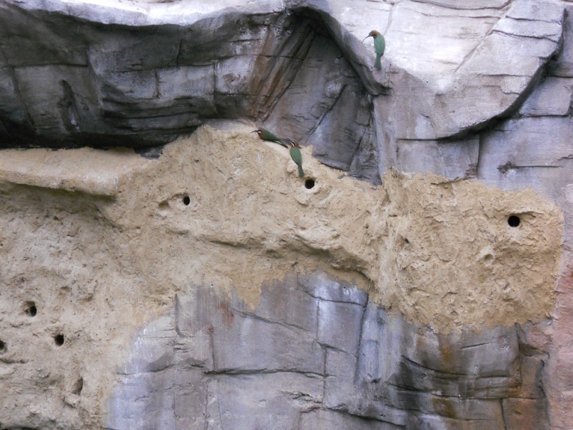 Тарас Стадник фотография #35