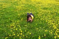 Ірина Кальченко фотография #26 (источник - https://vk.com/id23738412)