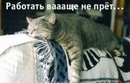 Фотография Ульдановой Флюры