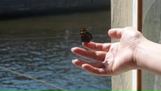 Фотография Коваленко Алёны