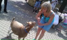 Фотография Морозовой Анжелики