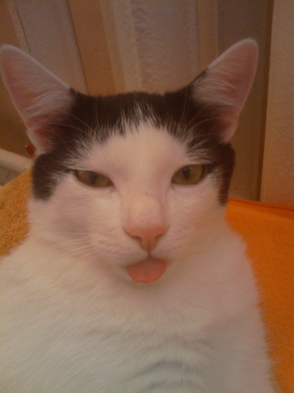 Дмитрий Кравчук фотография #48