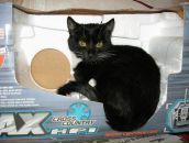 Андрій Дацюк фотография #38 (источник - https://vk.com/id27747637)