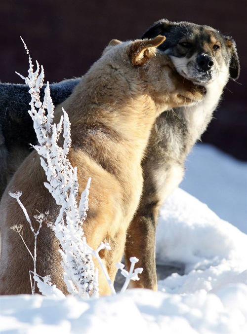 Empty Vision фотография #9