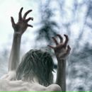 Денис Постовалов фотография #1