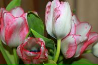 Фотография Нефедовой Татьяны