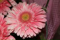 Фотография Пономаревой Людмилы